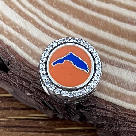 Pandora HOME Florida Map Exclusive Bead Charm - Picture 1 of 3
